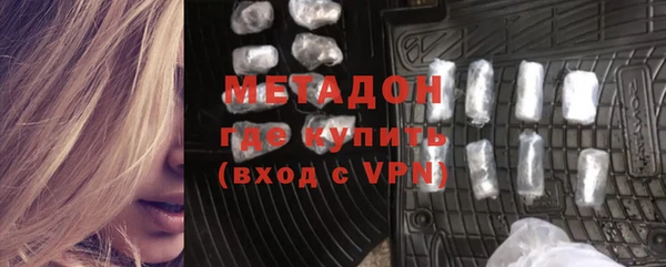 сатива Няндома