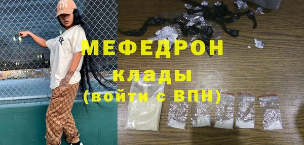 сатива Няндома