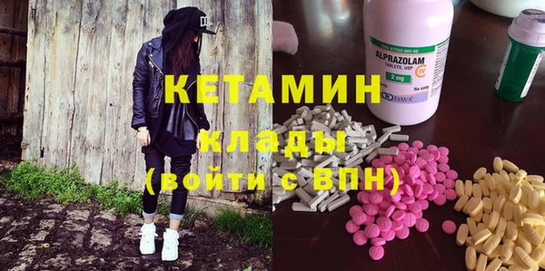сатива Няндома