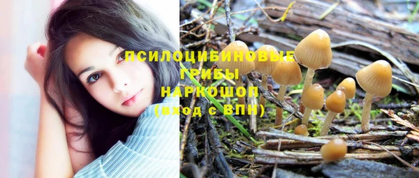 хмурый Абинск