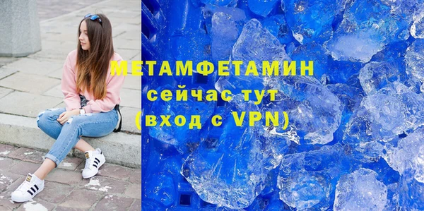 сатива Няндома
