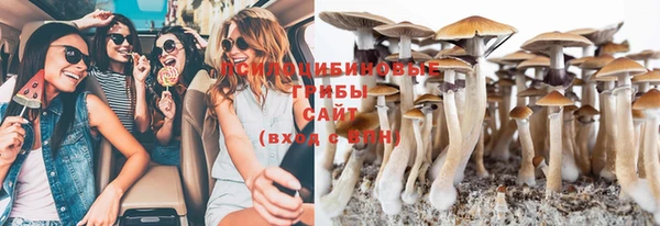 сатива Няндома