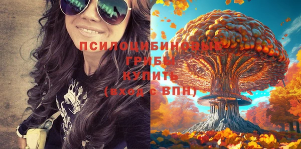МДПВ Абаза