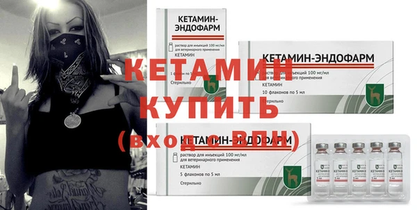 сатива Няндома